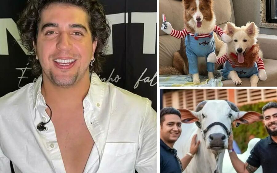 É hoje! Nattan promete embebedar sertanejo e ‘roubar’ boi de milhões