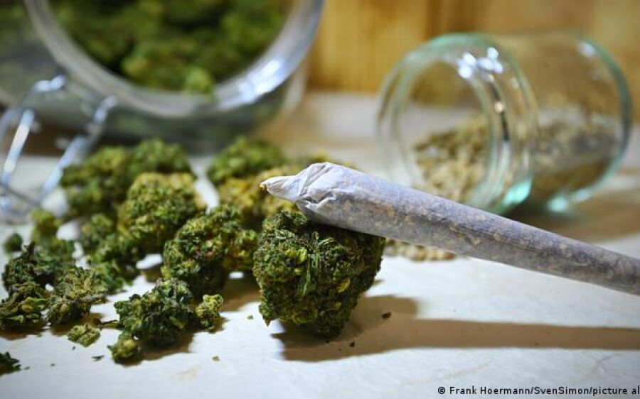 Maconha aumenta risco de psicose em adolescentes, diz estudo