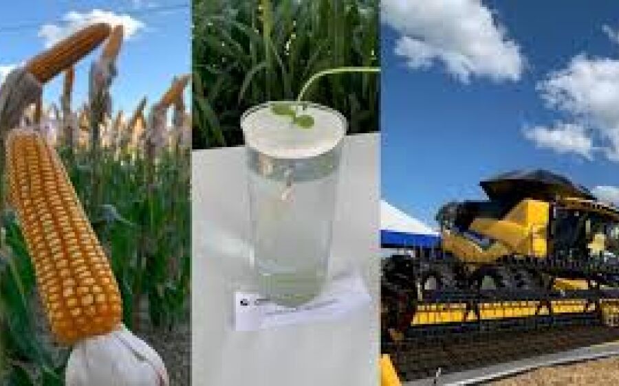 Showtec 2024: empresas do agro apostam na interatividade para atrair e divertir visitantes
