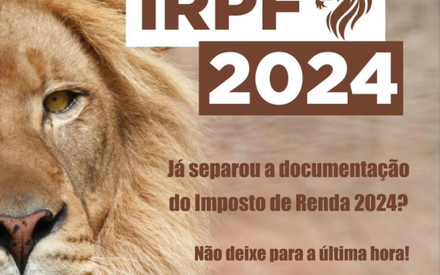 IR 2024: Não deixe para a última hora