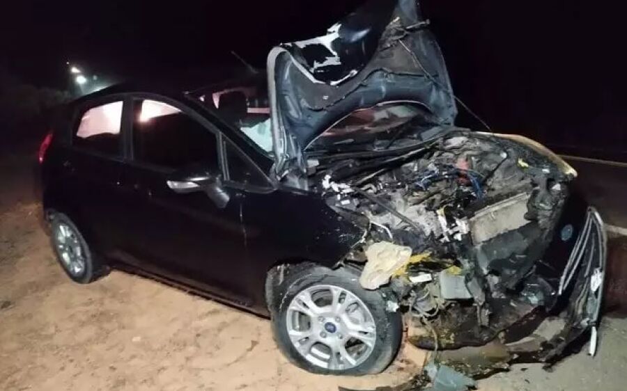 Carro com família fica destruído ao atropelar e matar anta na BR-163, entre Coxim e Sonora