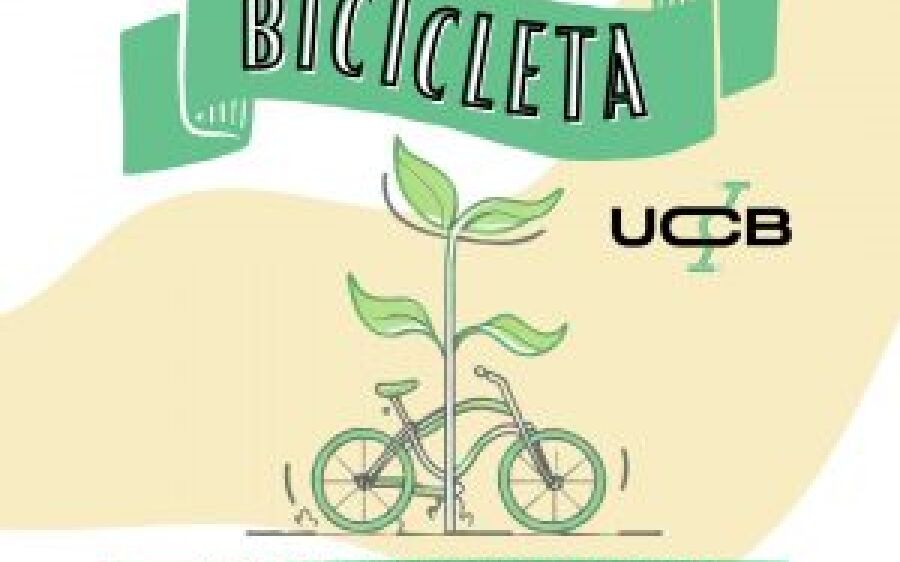 03 de Junho, Dia Mundial da Bicicleta