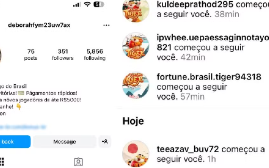 Contas de jogo do tigrinho inundam Instagram e  incomodam usuários