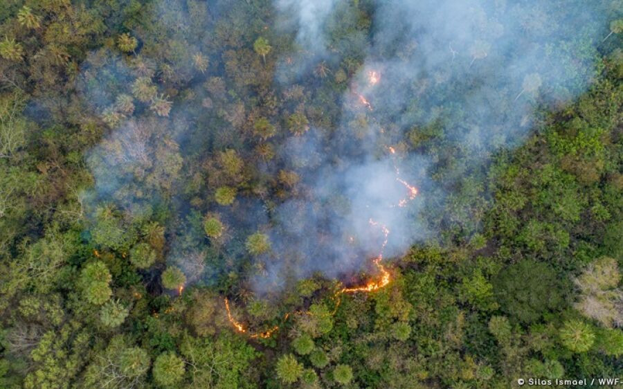 Em Mato Grosso do Sul, foram 521 focos de incêndios somente nos primeiros 6 meses do ano