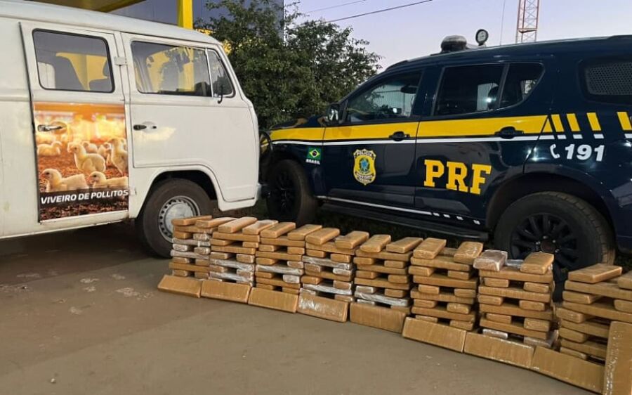 Comerciante é preso com 180 kg de maconha em abordagem da PRF na BR-060, em Bandeirantes