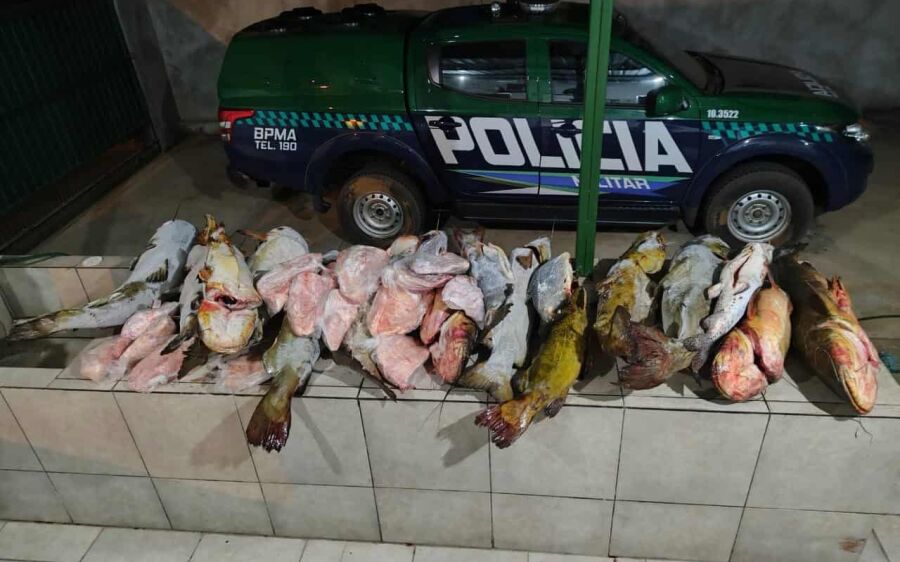PMA apreende 283 kg de pescado em operação contra pesca predatória em Bonito