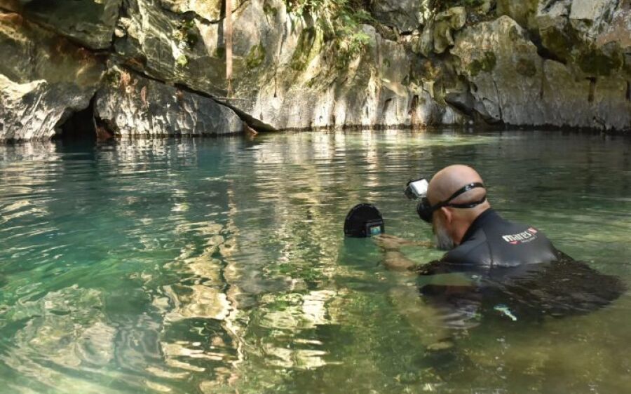 Cascudo criticamente ameaçado de extinção é avistado em caverna de Bonito após 20 anos