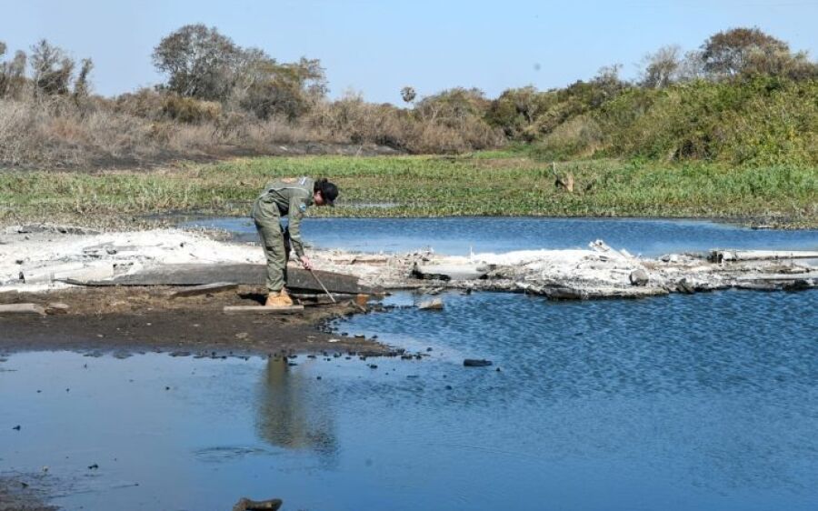 Equipe do Governo de MS no Pantanal monitora áreas queimadas em busca de animais feridos