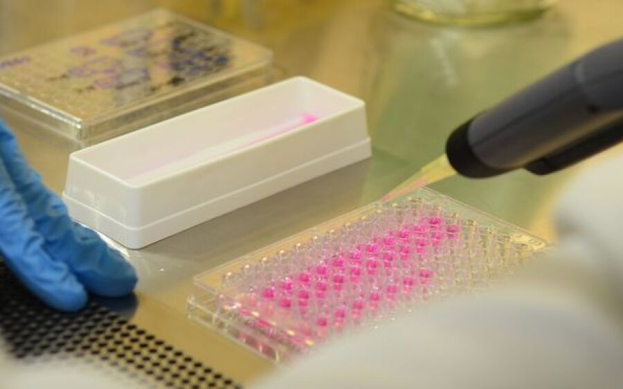 Vírus zika pode voltar a se replicar após recuperação, aponta estudo