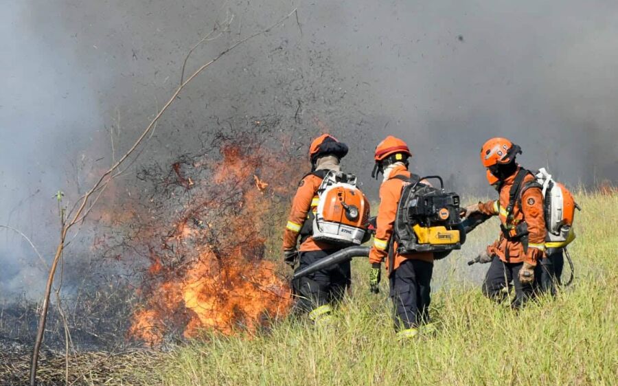 Bombeiros combatem incêndios florestais perto da Estrada Parque e em Porto Murtinho