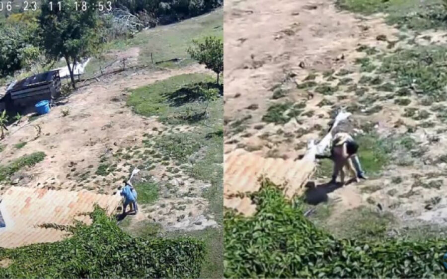 Imagens de câmeras mostram sobrevivente lutando com assassino de garota de programa