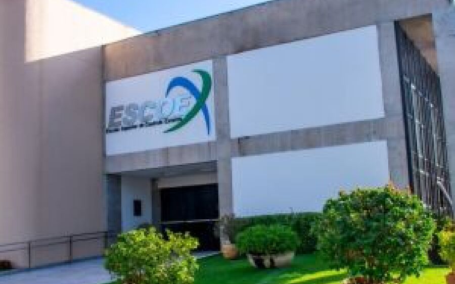 Auditores de Controle Externo integram Conselho Didático-Pedagógico da Escoex
