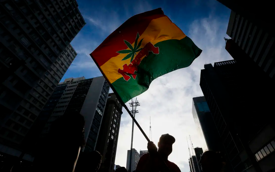 Quantidade de maconha vai diferenciar uso pessoal e tráfico