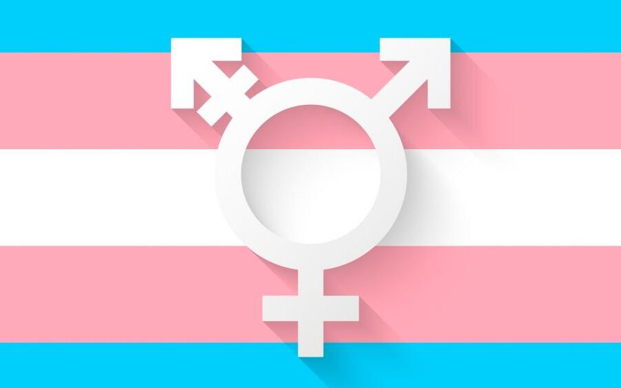 STF tem maioria para garantir atendimento de pessoas trans no SUS