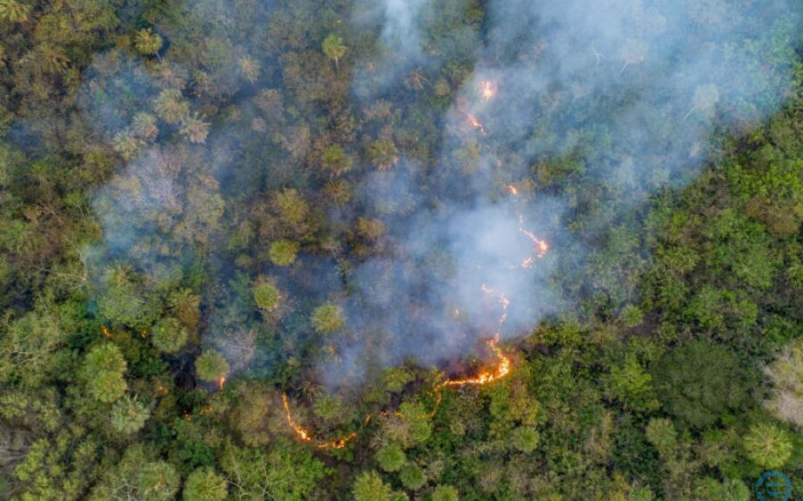 Frente fria reduz focos de calor e diminuiram a área queimada no Pantanal