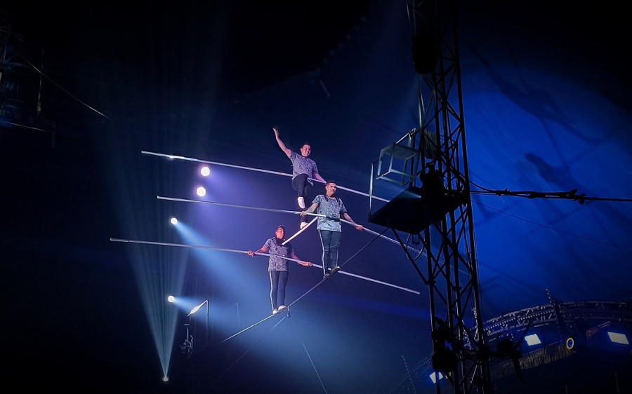 Programação de férias tem circo, feira e prorrogação da temporada Van Gogh em Campo Grande