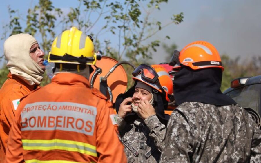 Governo de MS e Força Nacional trabalham em conjunto para combater focos no Pantanal
