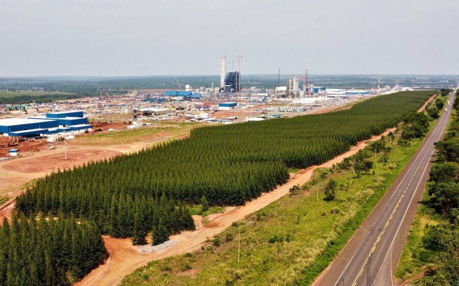 Soja e celulose puxam balança comercial de MS e exportações superam a marca de 5 bilhões de dólares 