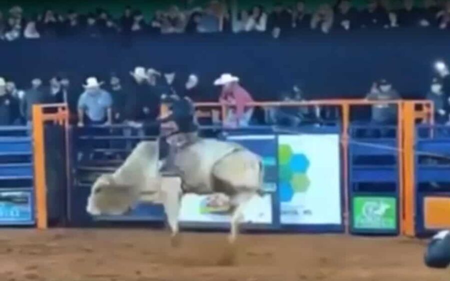 Peão morre após ser pisoteado por touro durante rodeio em MS