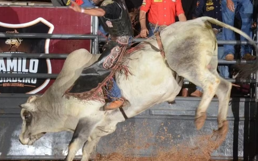 Peão que morreu ao ser pisoteado por touro durante rodeio ficou em terceiro lugar na disputa em MS