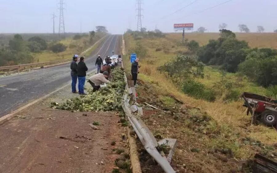 Motorista morre em acidente, carga é saqueada e até banda de boi morto levada na BR-262