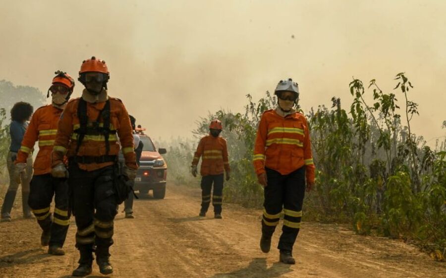 Pantanal: força-tarefa segue ativa para prevenir e combater incêndios em nova onda de calor e seco