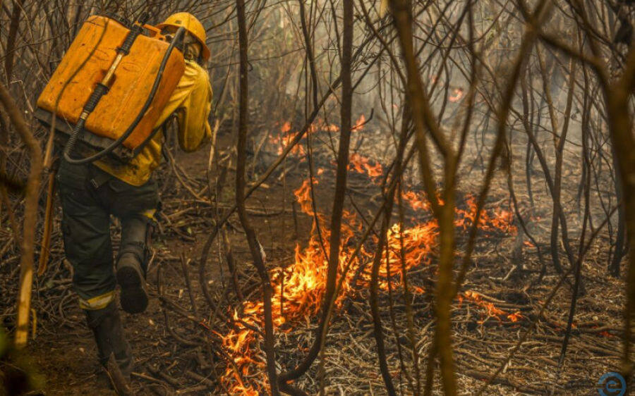 Com mais de 5% já queimado, Pantanal de MS sofre com retorno dos incêndios