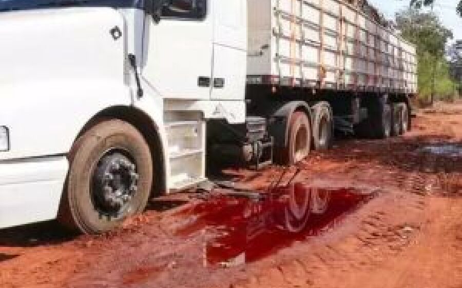 Carreta atolada em frente de delegacia transportava R$ 12 milhões em cocaína