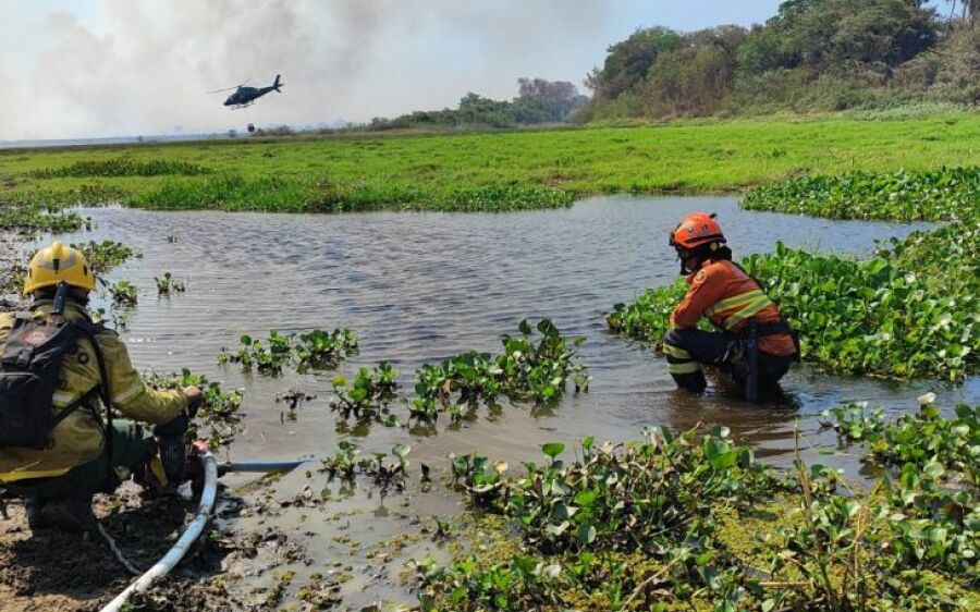 Serra do Amolar, Porto da Manga e Rabicho concentram esforços dos Bombeiros no Pantanal