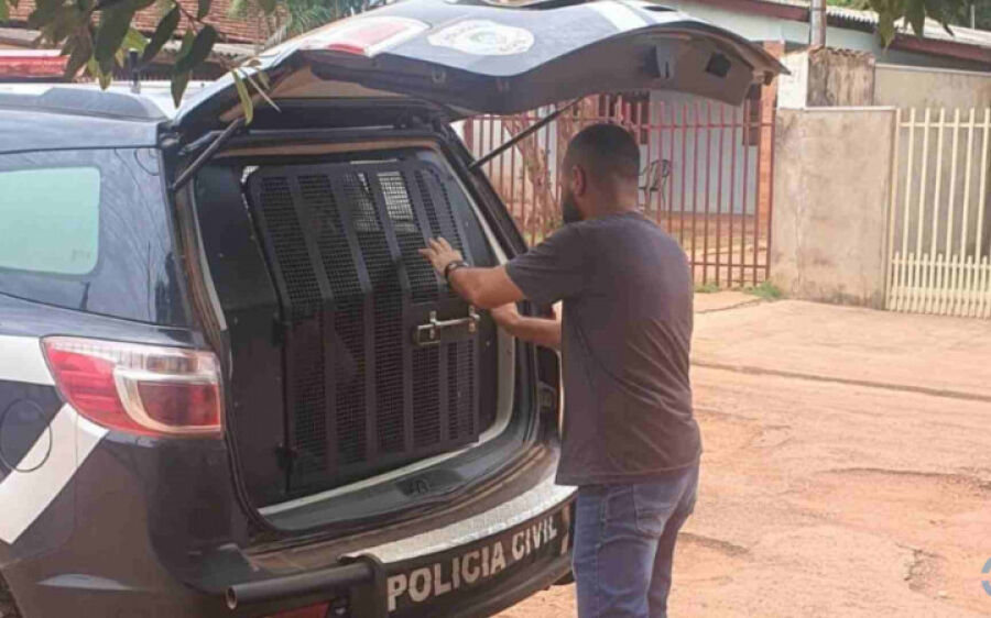 Cinco suspeitos por estupro de vulnerável e abusos são presos pela polícia em Rio Verde