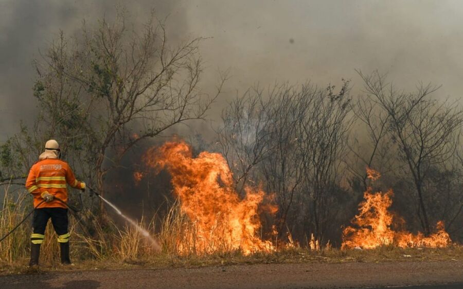 Fogo e fumaça se intensificam no Pantanal e combate aos  incêndios em MS continua a ter reforços