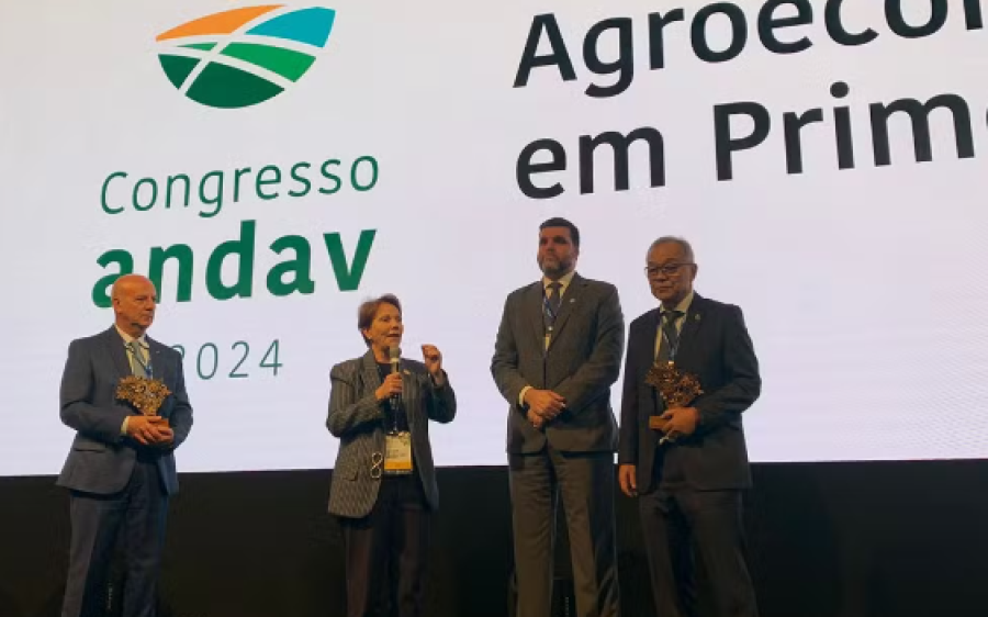 Especialistas discutem ações para  alavancar o setor que é destaque em MS