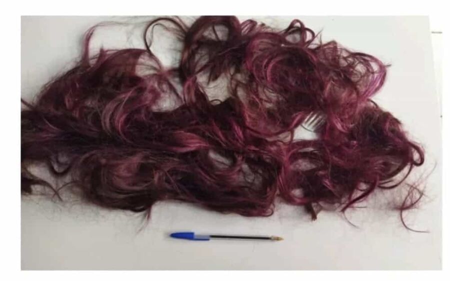Polícia Civil pede prisão de homem que cortou cabelo da ex com faca em ato de humilhação