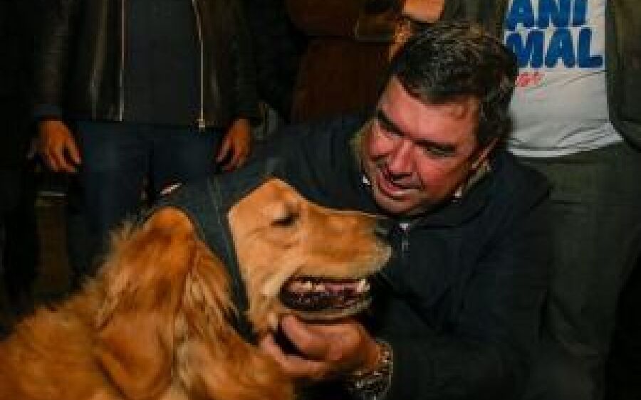 Governo de MS lança Caravana que deve castrar, medicar e microchipar 21 mil animais