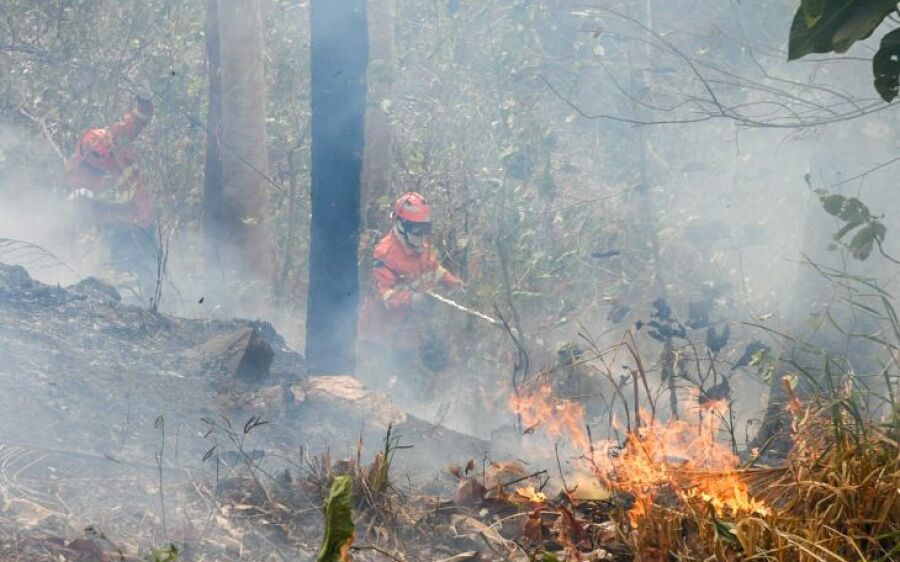 Operação Pantanal: bioma tem oito focos ativos mesmo após semana de frio e chuva em MS