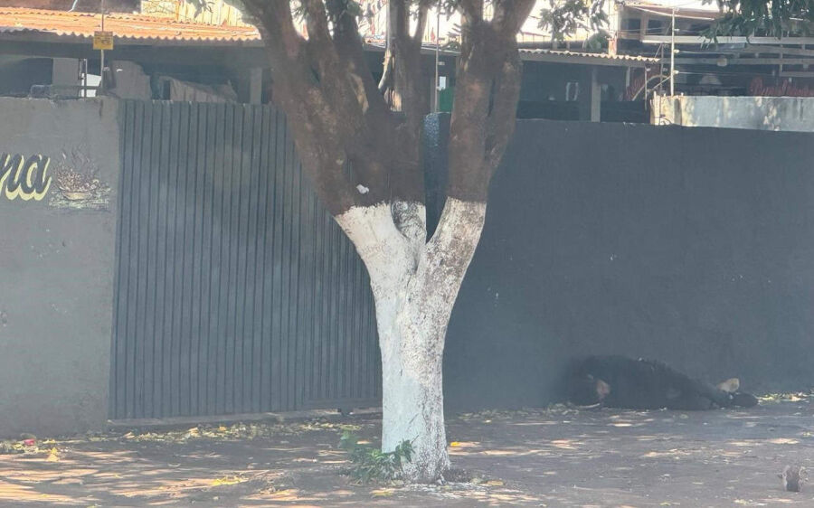 Mais de 50 policiais participam de operação integrada contra o tráfico de drogas em Dourados