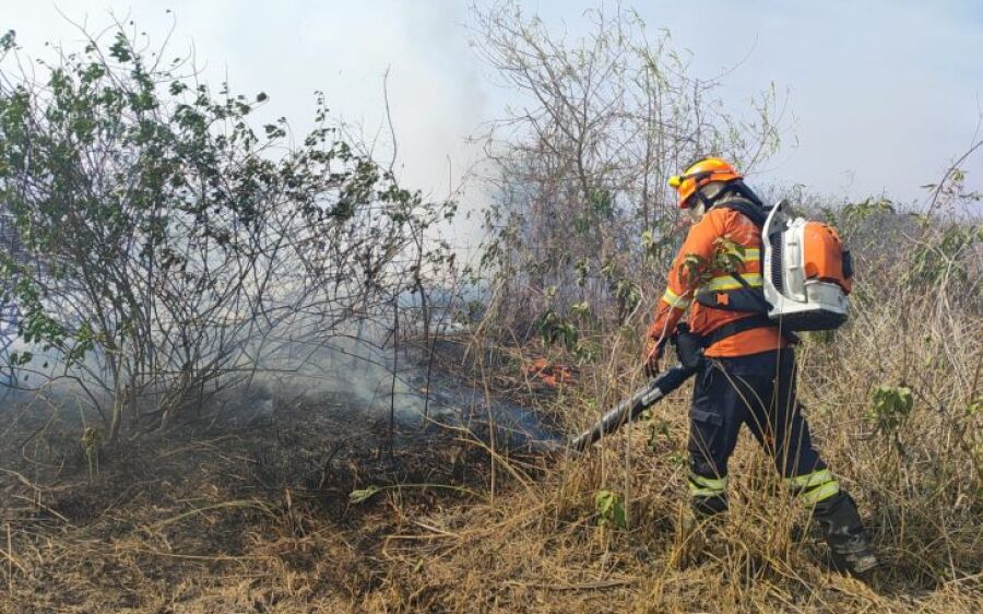 Pantanal de MS tem umidade em 10% e focos ativos em diferentes regiões