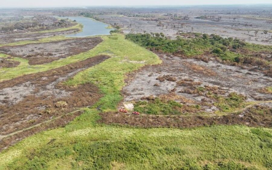 Proprietários rurais do Pantanal afetados pelos incêndios florestais devem ter condições especiais 