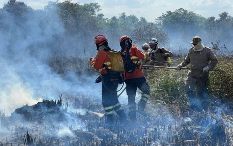 Depois de 4 dias de combate ao fogo, todos os focos foram extintos em Coxim