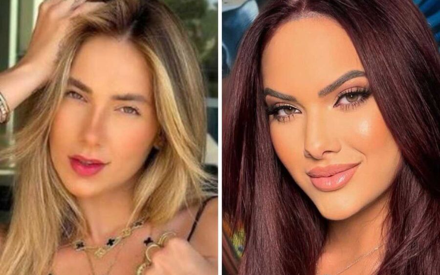 Virginia e Emily : Entenda a treta e rumores nesta história