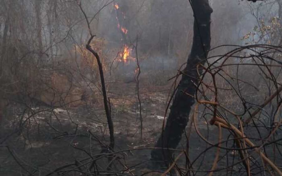 Servidores da Prefeitura de Coxim unem forças no combate a incêndios