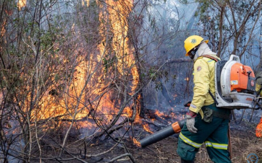 STF determina mobilização máxima de agentes para atuar contra incêndios no Pantanal