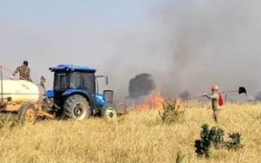Incêndios florestais atingem Coxim, Naviraí, Paranaíba e divisa com MT