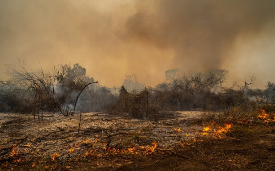 Brasil pode perder o  Pantanal até o fim do  século se tendências  não forem revertidas