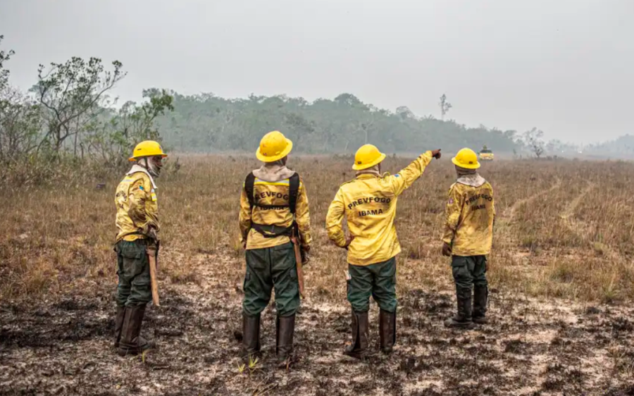 Dino estabelece orçamento de emergência para combate a incêndios
