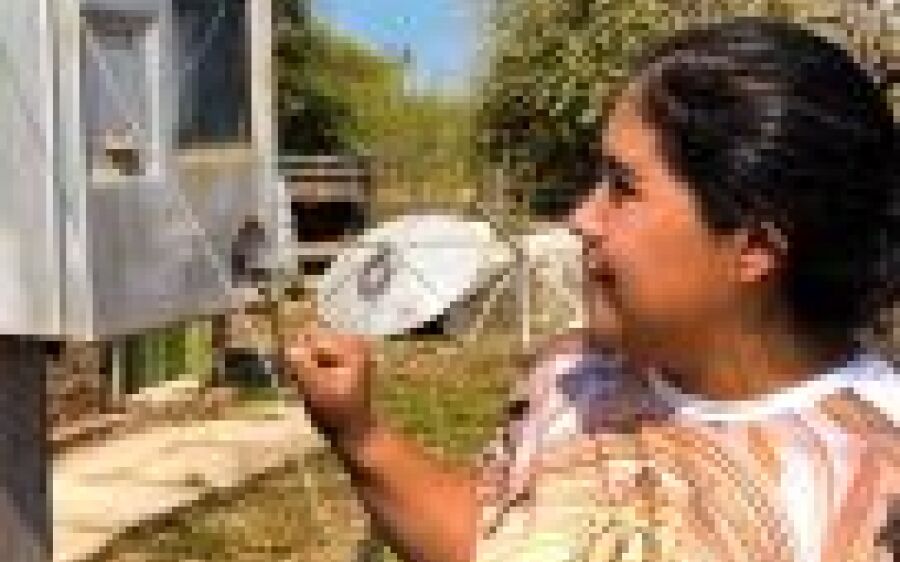 Energia Social: sem gastos com luz, famílias de MS investem em  alimentação e bem-estar das crianças