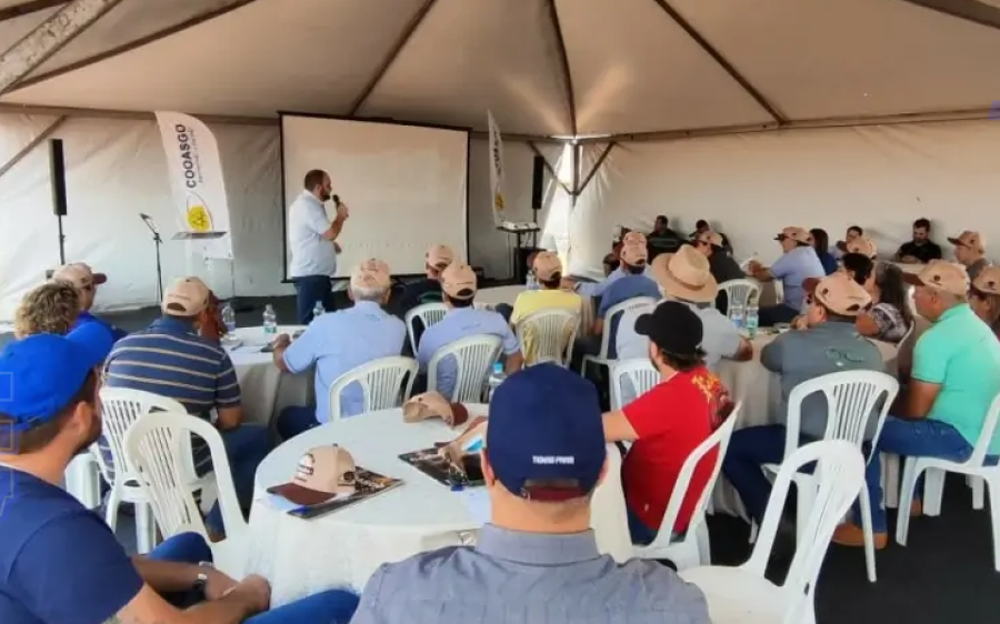 Suinocultores participam de Dia de Campo para aumentar faturamento e qualidade de produção