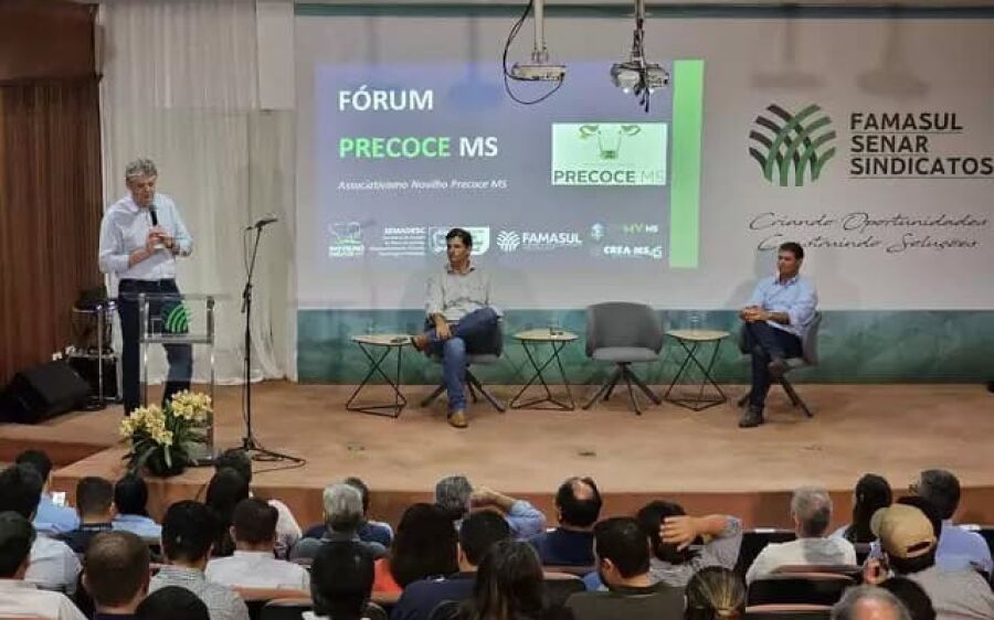 Programa Precoce MS bonificou pecuaristas em mais de R$ 600  milhões desde 2017