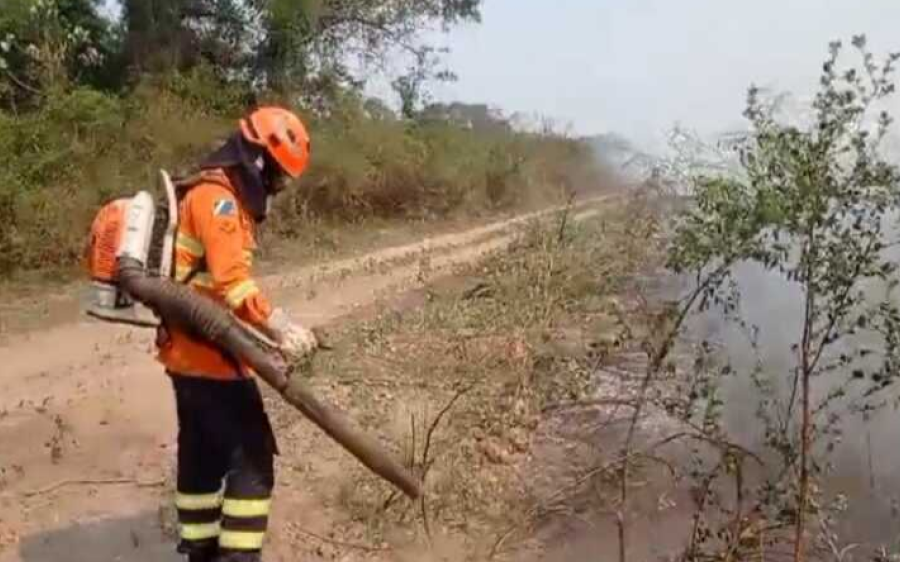 Equipes combatem incêndios florestais em diversos municípios no Mato Grosso do Sul