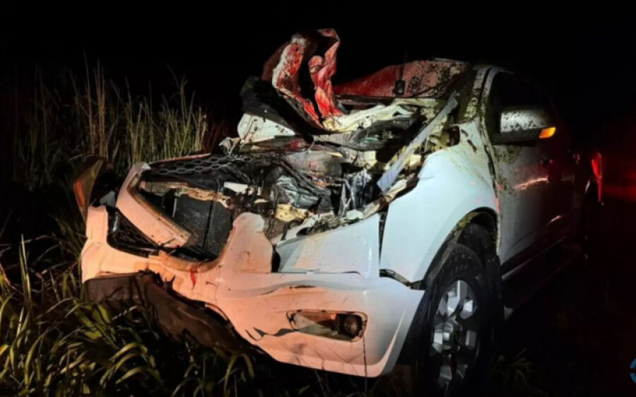 Casal fica ferido após caminhonete atropelar cavalo na MS-276